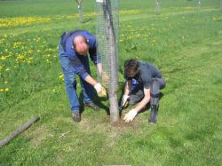 Arbeitseinsatz  2005 03